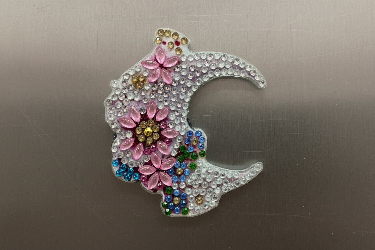 Crescent Moon Magnets