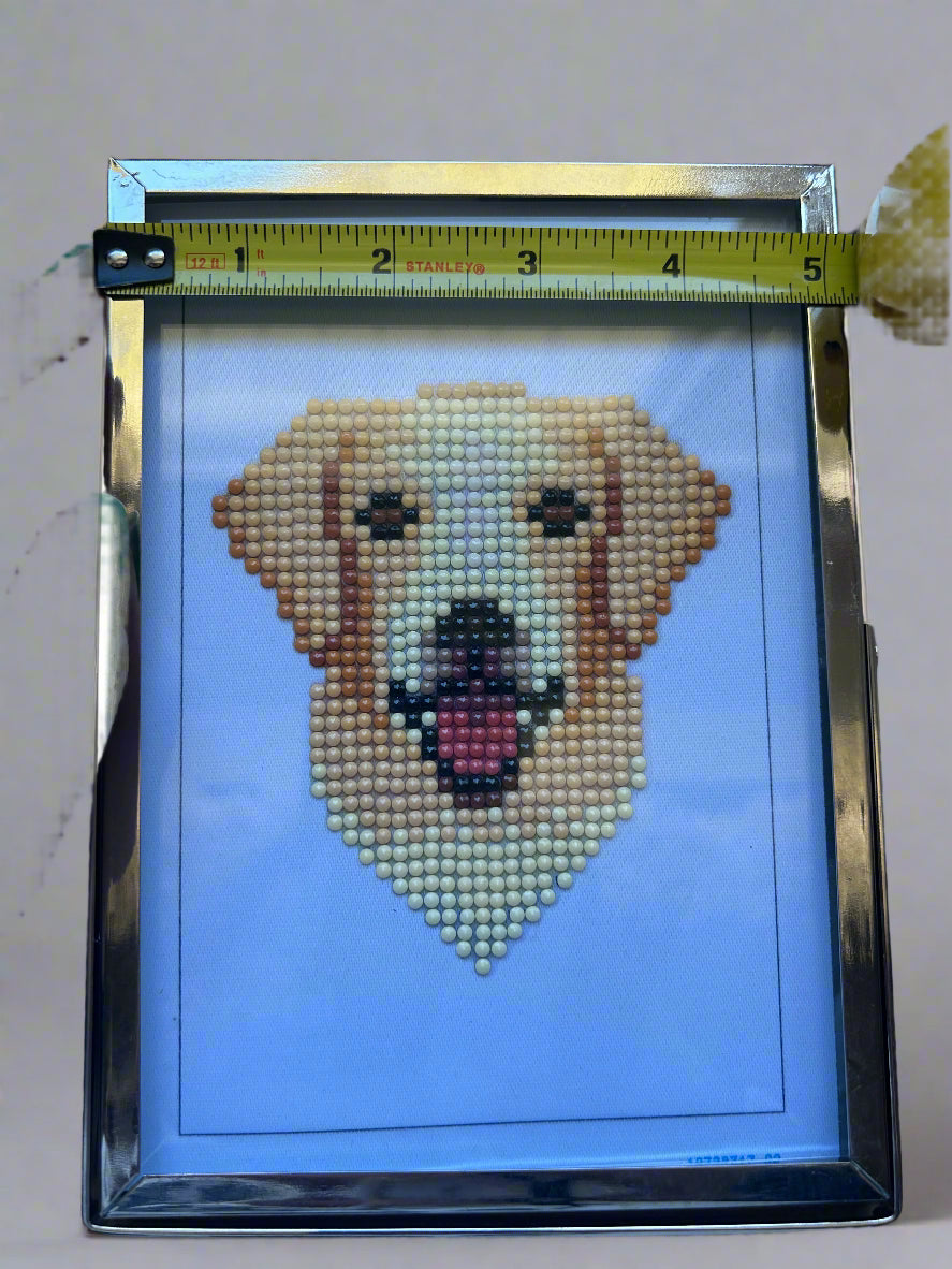 Dog Diamond Paintings with Frame
