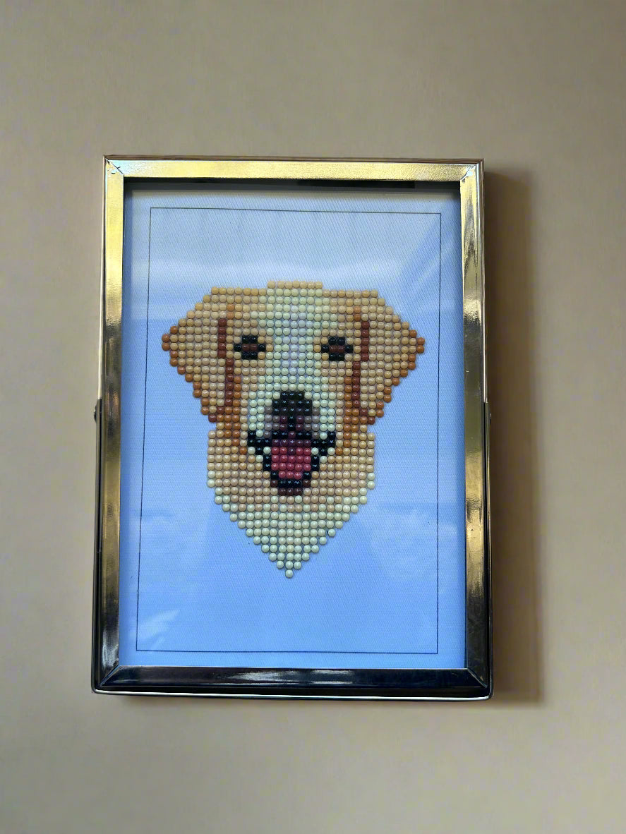 Dog Diamond Paintings with Frame