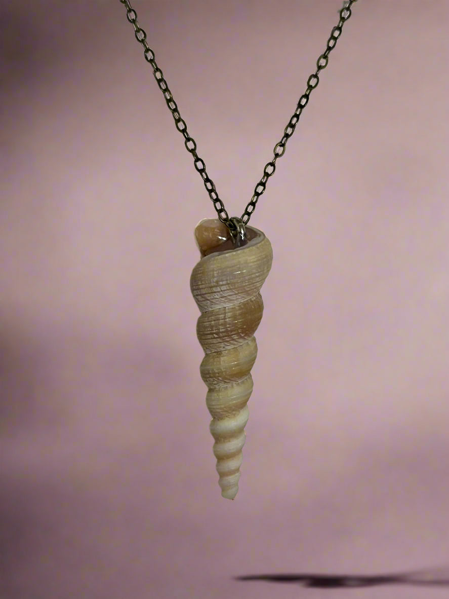 Spiral Shell Necklace